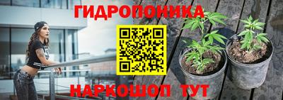 прущие крисы Бузулук