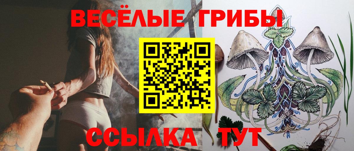 Кондопога  Галлюциногенные грибы MAGIC MUSHROOMS  Вход с VPN 